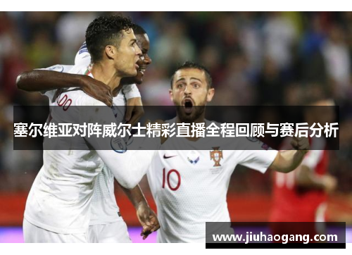 塞尔维亚对阵威尔士精彩直播全程回顾与赛后分析