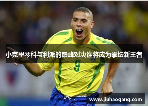 小克里琴科与利派的巅峰对决谁将成为拳坛新王者